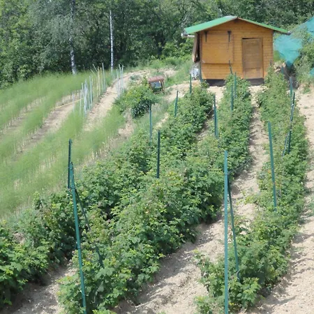 Farm stay Al Robale Almenno San Bartolomeo