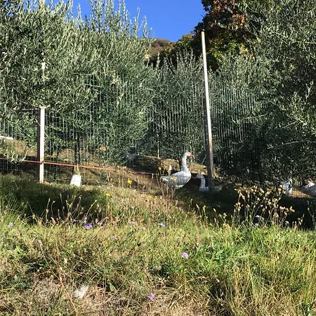 Al Robale * Almenno San Bartolomeo